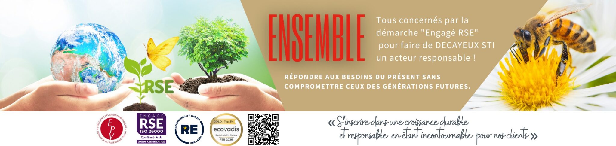 decayeux sti rse site